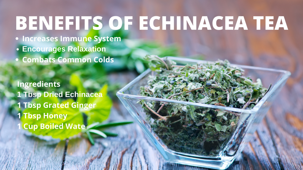 Benefits of Echinacea Tea