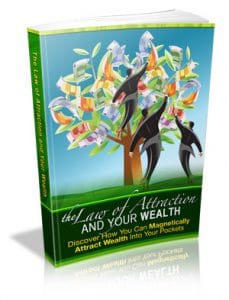 the law of attraction and wealth 